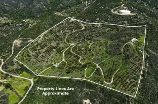 Photo #4: PTP2604368 Listing 