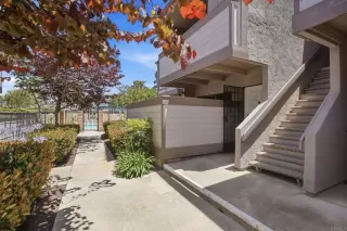Photo #1: PTP2604466 Listing