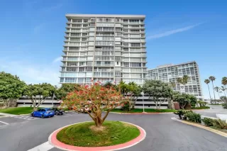 Photo #1: PTP2604566 Listing