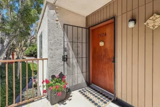 Photo #1: PTP2604721 Listing 