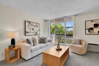More Details about MLS # PTP2604838 : 3050 RUE D