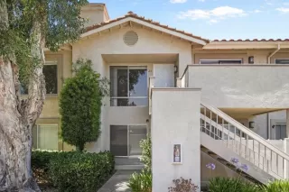 Photo #1: PTP2604862 Listing 