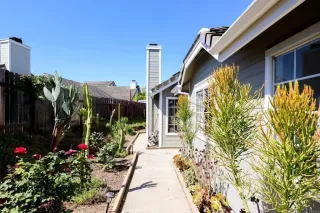 Photo #1: PTP2604930 Listing 