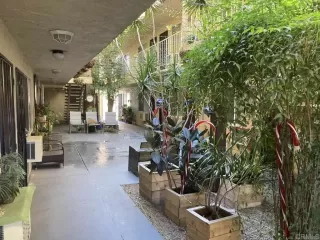 Photo #1: PTP2604973 Listing