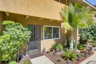Photo #1: PTP2605156 Listing
