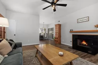 Photo #1: PTP2605184 Listing 