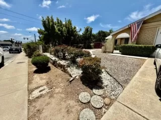 Photo #1: PTP2605322 Listing
