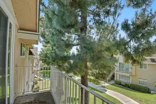 Photo #3: PTP2605338 Listing