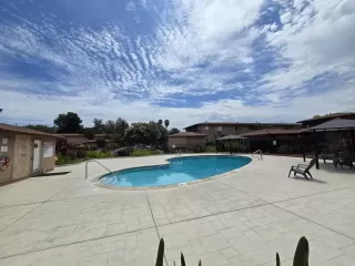 Photo #1: PTP2605488 Listing