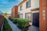 Primary Photo for MLS#: PTP2605602