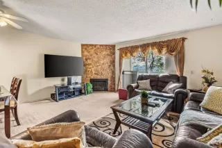 Photo #1: PTP2605729 Listing