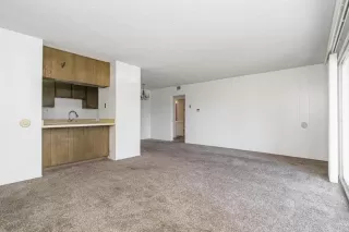 Photo #2: PTP2605892 Listing