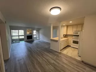 Photo #2: PTP2605980 Listing