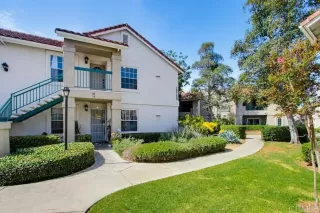 Photo #2: PTP2606004 Listing 