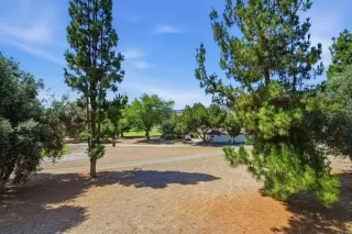 Photo #3: PTP2606011 Listing