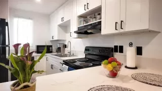 Photo #2: PTP2606062 Listing