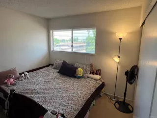 Photo #2: PTP2606108 Listing