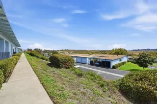 Photo #1: PTP2606288 Listing