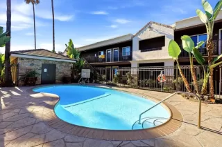 Photo #1: PTP2606354 Listing
