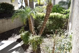 Photo #2: SW23025543 Listing