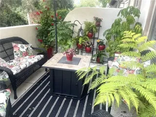 Photo #4: SW23146529 Listing 