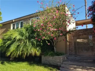 Photo #1: SW23158482 Listing 