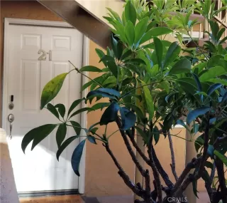 Photo #2: SW23158482 Listing 