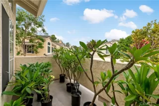 Photo #2: SW23175748 Listing 