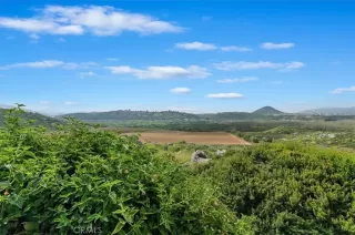 Photo #2: SW24062305 Listing