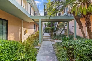 Photo #2: SW24182660 Listing