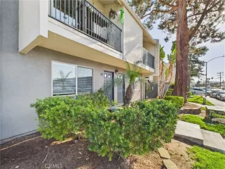 Photo #2: SW25095468 Listing