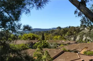 Photo #2: SW25223994 Listing 