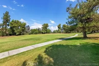 Photo #5: SW25277167 Listing 