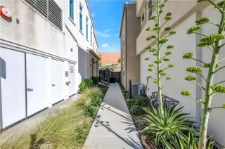 Photo #5: SW26003594 Listing 