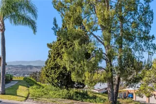 Photo #5: SW26084485 Listing 