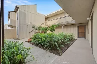 Primary Photo for MLS#: TR26030234