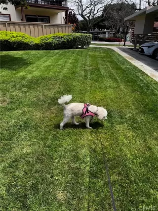 Photo #1: WS23093245 Listing