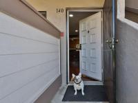 Browse active condo listings in WOODBRIDGE