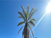 Browse active condo listings in MISSION TRAILS VILLAS