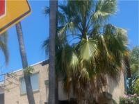 Browse active condo listings in CASA DE MARLBOROUGH