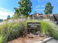 Browse active condo listings in COLLEGE GROVE VILLAGE