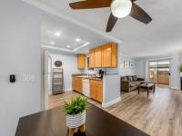 Browse active condo listings in PALM COURT