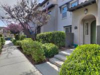 Browse active condo listings in AGAVE