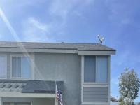 More Details about MLS # 220011324 : 7348 TOOMA
