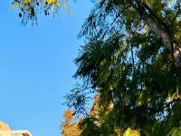 More Details about MLS # 230002138 : 3635 7TH AVE 7B