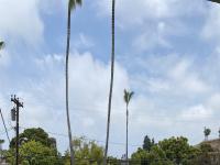 More Details about MLS # 230009105 : 3881 BASILONE ST UNIT 3