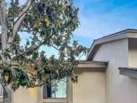 More Details about MLS # 230010022 : 5364 CAMINITO VELASQUEZ