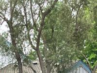 More Details about MLS # 230010515 : 8016 CAMINITO MALLORCA