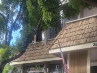 More Details about MLS # 230016689 : 3866 BASILONE ST 1