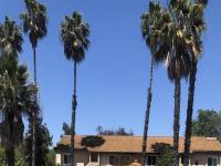 More Details about MLS # 240013324 : 11329 AVENIDA DE LOS LOBOS UNIT B